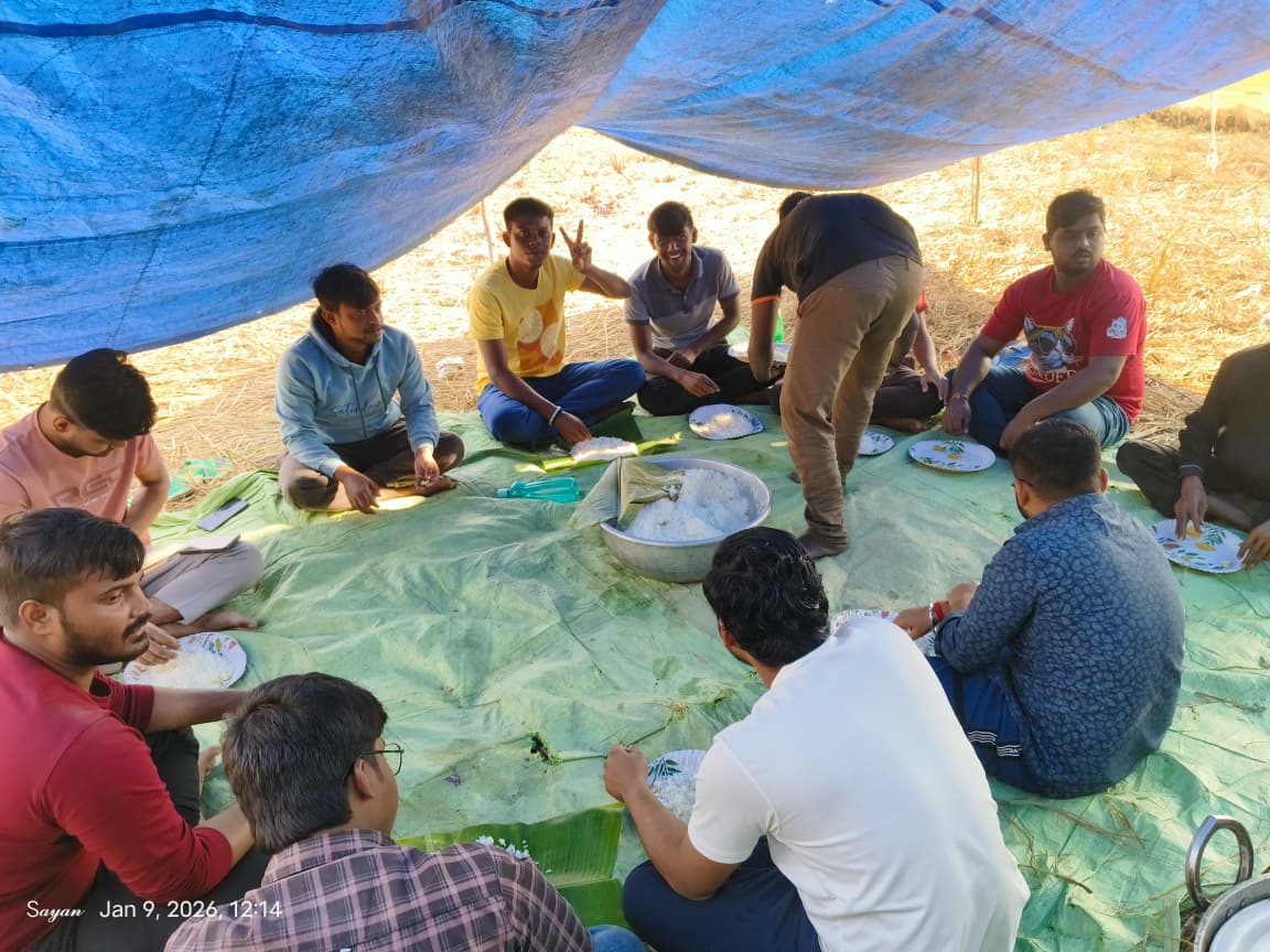 Picnic